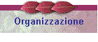 Organizzazione